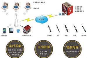 山东华胜物联网智能水产养殖系统设计方案