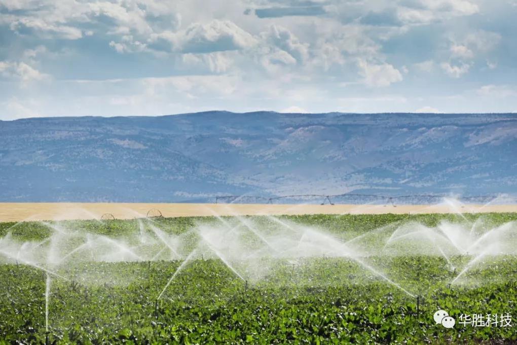 智慧农业|河北智能温室水肥一体化节水灌溉技术介绍