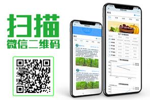 山东华胜物联网农产品质量安全追溯系统解决方案