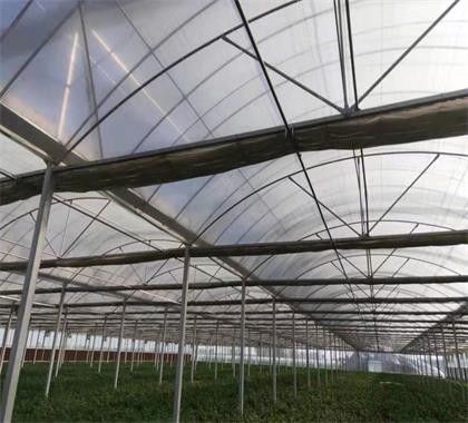 智慧农业|温室建设应用物联网自动化控制设备