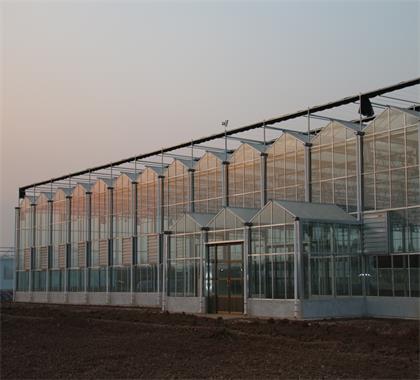 河北玻璃温室大棚建设,农业物联网智能控制系统