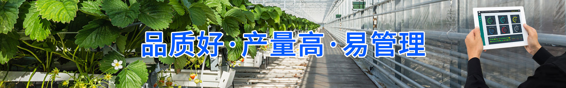现代农业物联网领航者-华胜物联网科技有限公司