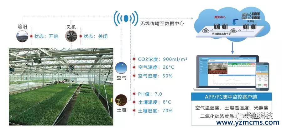 “互联网”和“物联网”的区别所在