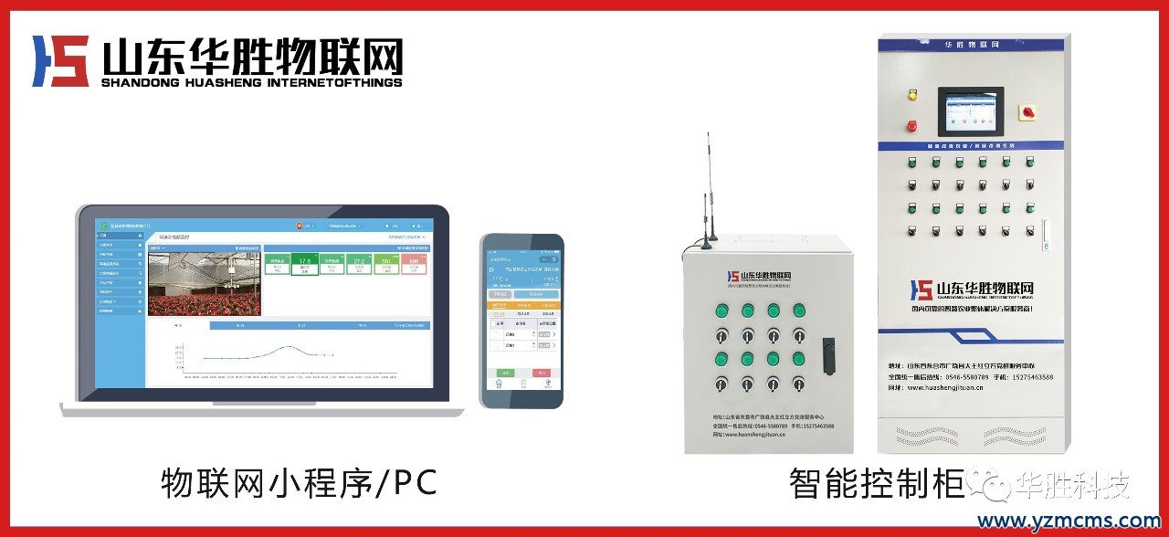 温室大棚西瓜技术的栽培重点