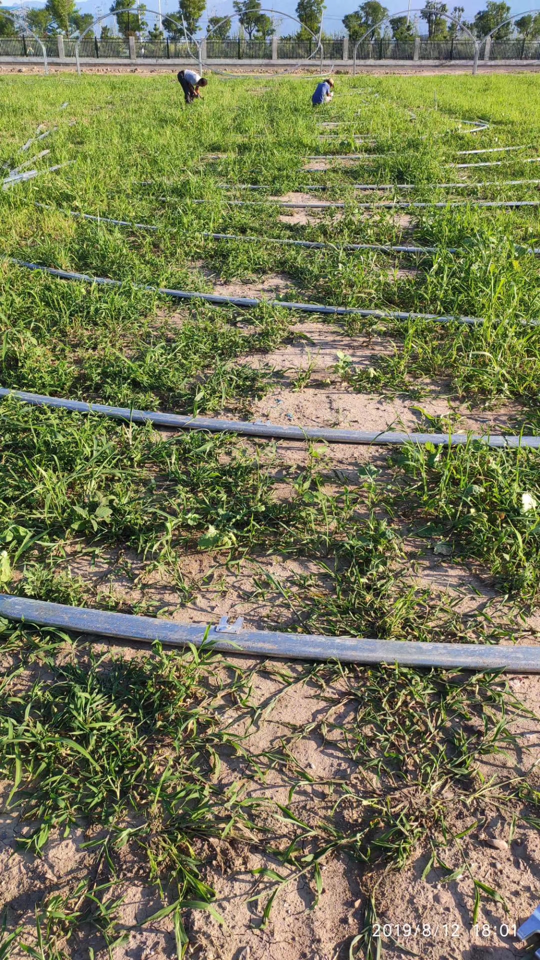 用对灌溉方式高效又增产 看你的农作物适合哪种节水灌溉方式？