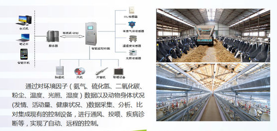 现代化智能畜牧养殖