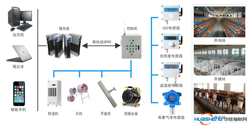 现代畜牧养殖方案