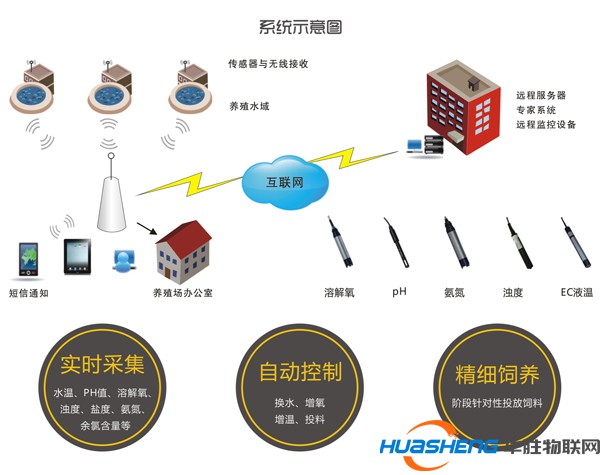 智能集约化水产养殖