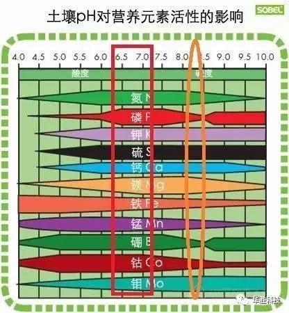 土壤的三大“杀手” 直接影响肥效和作物生长，90％的人都不知道！