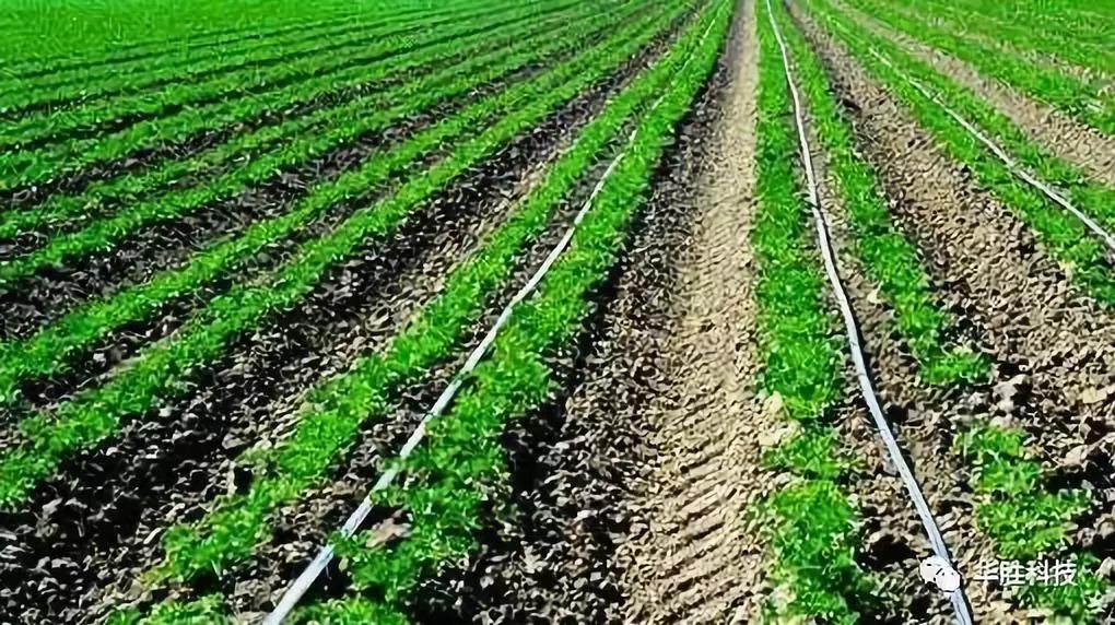 新型农业节水灌溉技术主要有哪些？