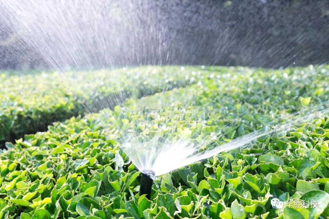 农业物联网水肥一体化灌溉技术