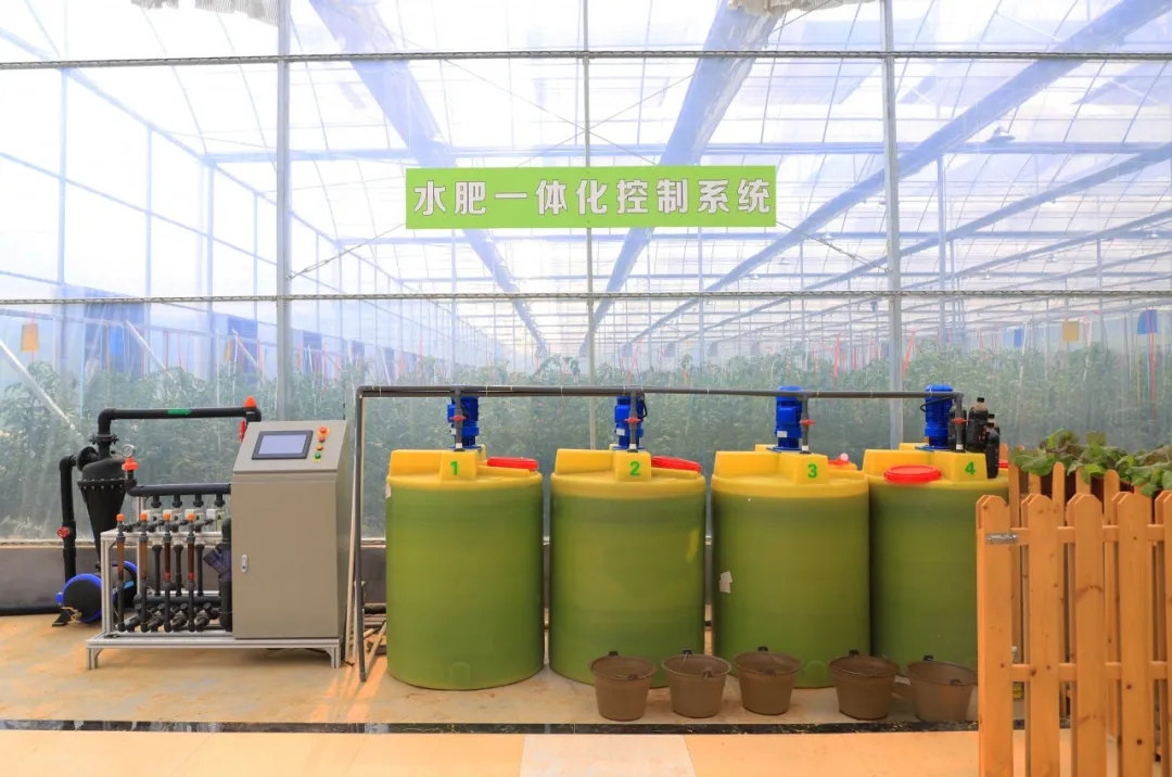 金海湖新区，智能温室大棚采用华胜物联网水肥一体化设备实现智能化灌溉