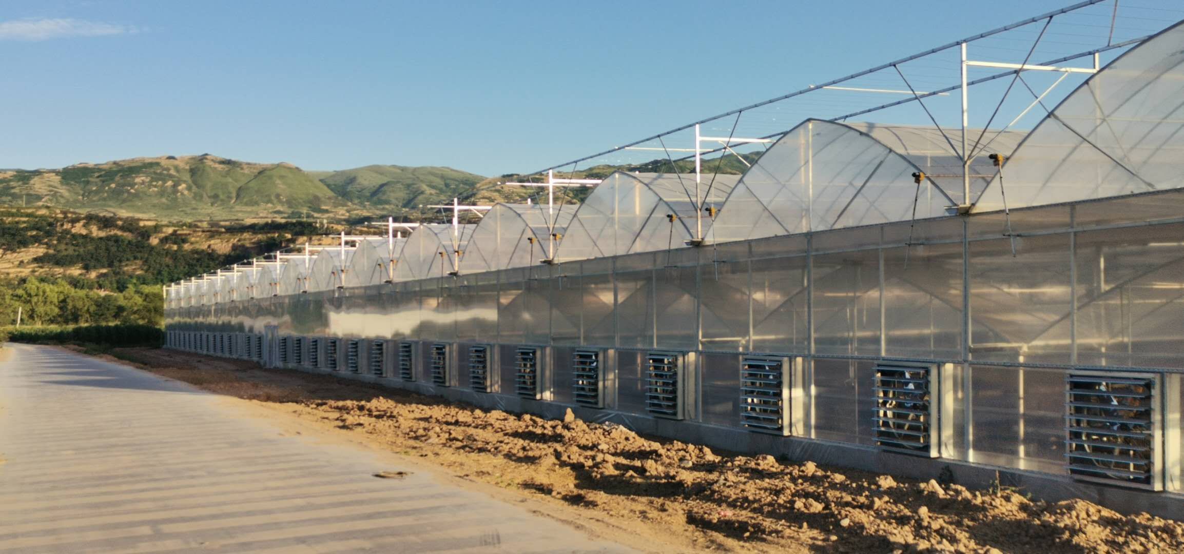 甘肃花卉温室大棚实现水肥一体化智能灌溉