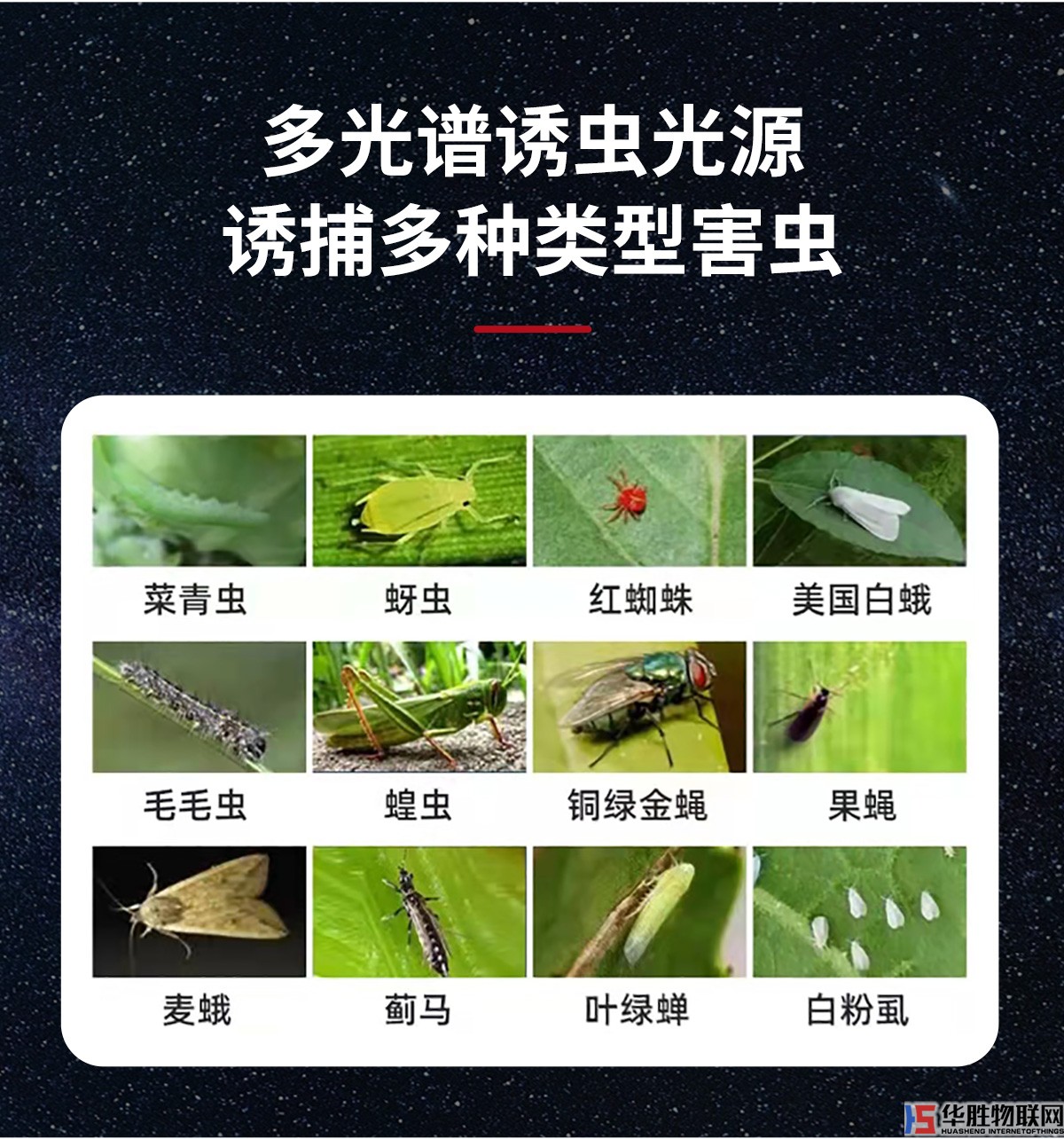风吸式杀虫灯
