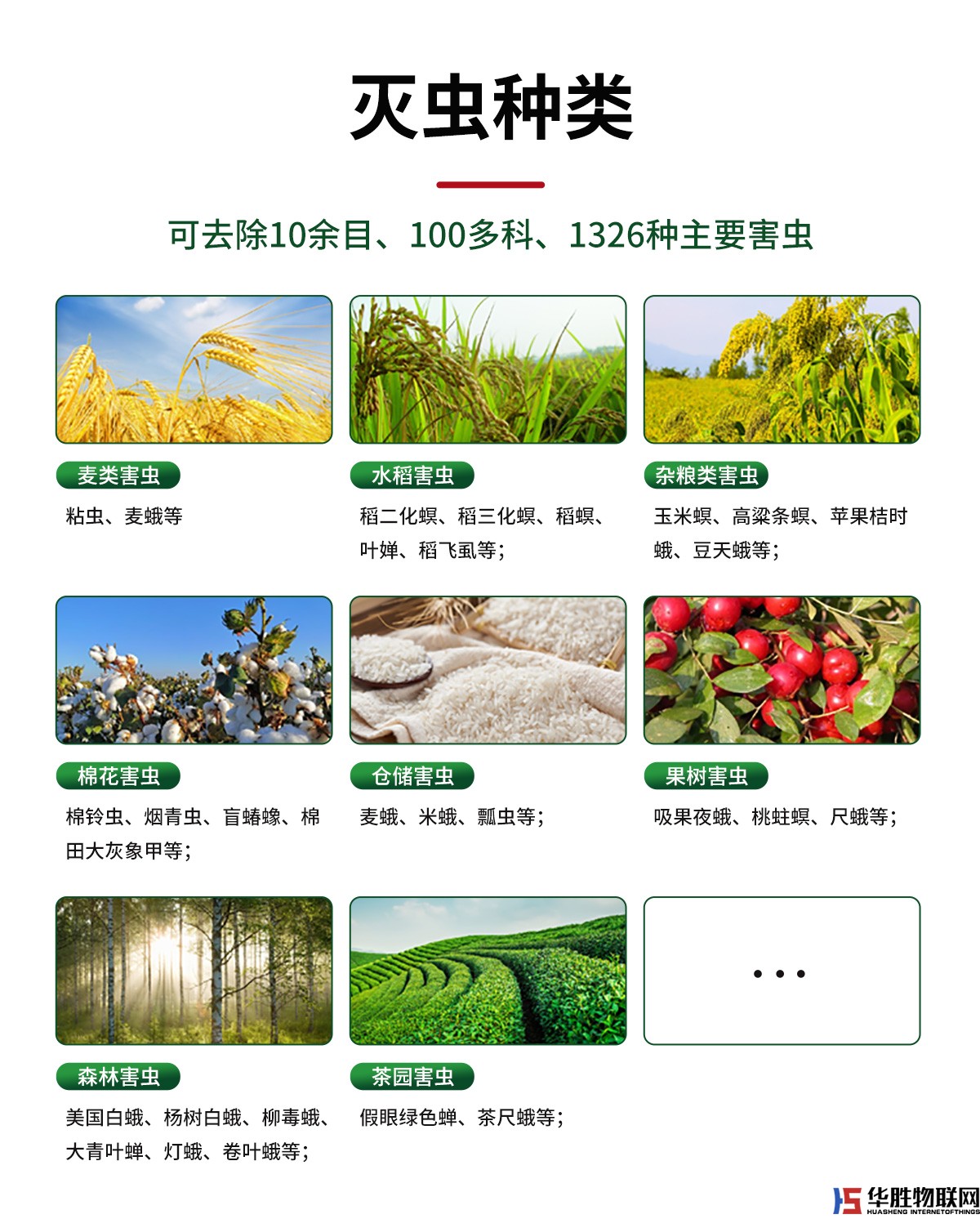 风吸式杀虫灯