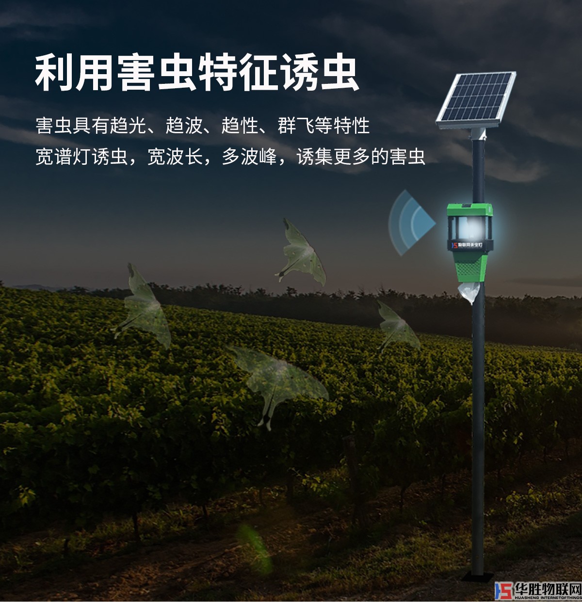 风吸式杀虫灯