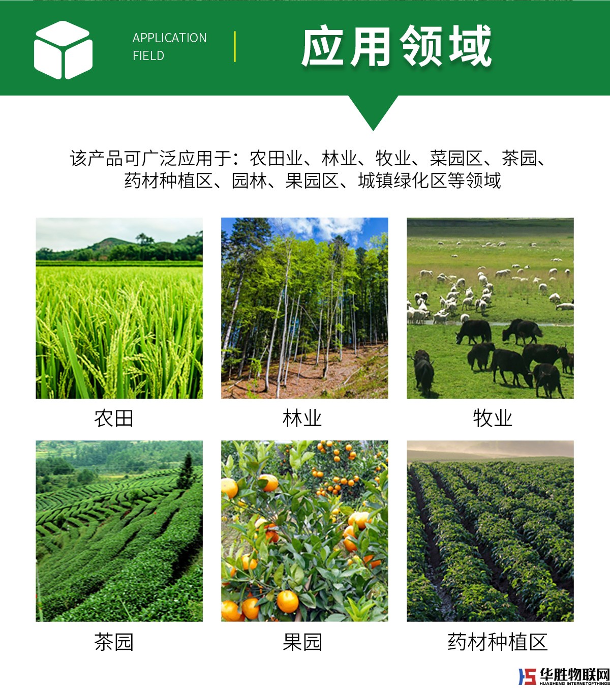 风吸式杀虫灯